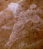 Pheasant in Limestone