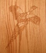 Pheasant in Red Oak