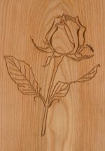 Rose in White Oak
